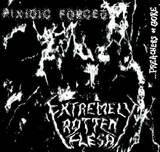 Extremely Rotten Flesh (PL) : ...Preachers of Gore